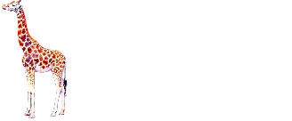 Giraffe — Элитное экскорт-агентство в Владивостоке
